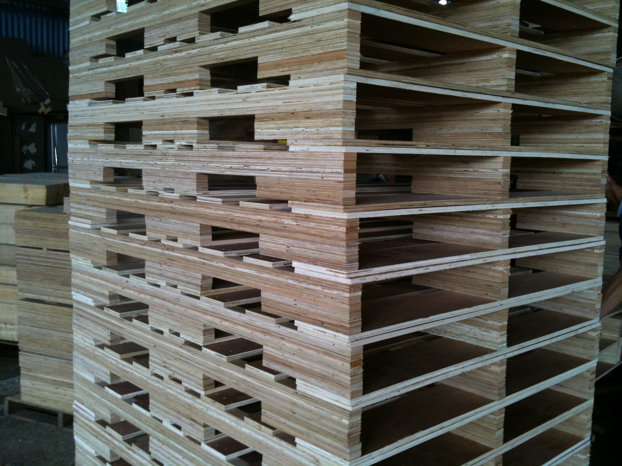 plywood pallet 2